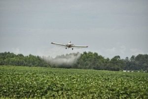 Pest Extermination - Croach - Kirkland, WA - Pest Control through Crop Dusting Airplane
