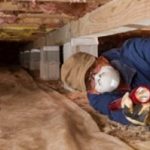 Crawl Space Contractor Rodent Control - Rats and Mice - Croach