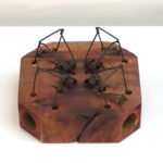 4-Hole Choker Trap - Animal Trap Company of America - Mouse Trap - Croach Rodent Control