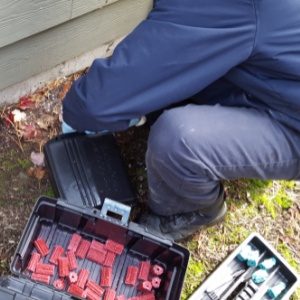 Croach Pest Control Technician Baiting Exterior of Home for Rats and Mice - 300x300