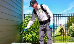 Croach Technician - IPM Chemical Spraying - Pest Management Near Greenville SC