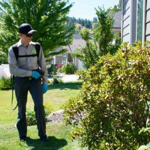 Pest Control Company: You Deserve a Pest-free Home | Croach®