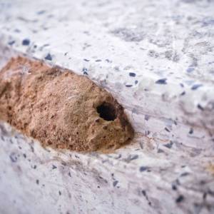 Wasp-Removal-Mud-Dauber-Wasp-Nest-Charlotte-NC-Croach-Pest-Control-300x300-1.jpg