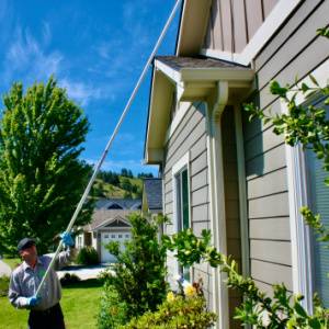 Croach Pest Control-Tech cleaning spider webs-Covington-300x300