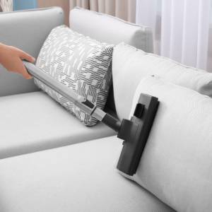 Vacuum regularly to prevent bedbugs in Denver, Aurora, Frederick, Colorado