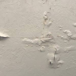 Costs of Termite Damage-Paint-Charlotte NC-Croach Pest Control-300x300