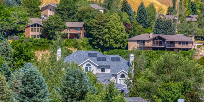 Salt Lake City Utah Homes that Need Pest Control - Croach - 800x500