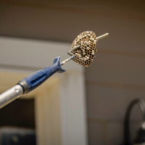 Wasp Nest Safe Removal-Boise ID-Croach Pest Control-750x750