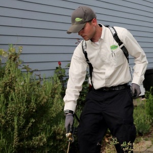Croach Exterminator Treating a Homes Exterior Foundation near Beaverton, OR