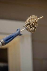 Wasp Nest on metal rod during wasp removal treatment