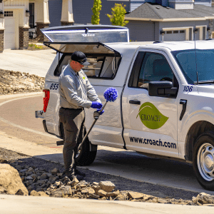 Auburn WA - Technician Standing Near Truck With De-Webbing Equipment