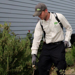 Croach Exterminator Treating A Homes Exterior Foundations in Puyallup