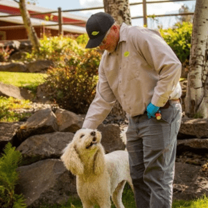 Croach Technician Petting Homeowners Dog During Pest Inspection - Issaquah WA