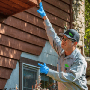 Croach Technician Performing Exterior Pest inspection - Redmond WA