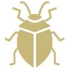 Stink Bug Treatment - Get Rid of Stink Bugs - Croach Pest Control