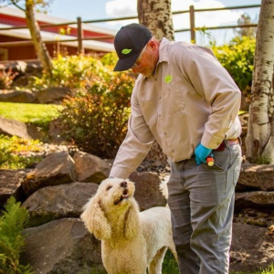 King City OR - Croach Technician Petting Sweet Dog